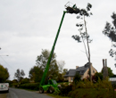 photo d'une pince a elager qui coupe une branche d'arbre