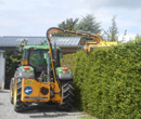 picture of a well trimmed hedge and a green gazon