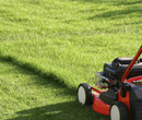 picture of a lawnmower mowing the lawn
